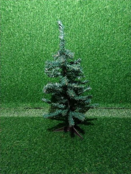 Picture of Christmas Tree