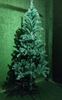 Picture of Christmas Tree